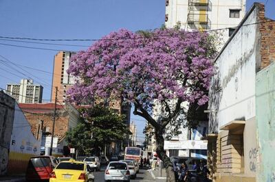 /pf/resources/images/abc-placeholder.png?d=2424