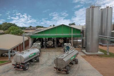 La compañía registra una producción de 170 millones de litros de leche anual, de la cual se obtiene una serie  de subproductos.