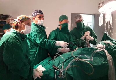 Este jueves 9 del corriente se celebra el día nacional del trasplante.