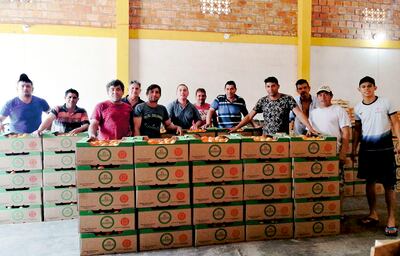 Productores de tomate de la Compañía San Antonio, con frutos seleccionados y envasados en cajas especiales, lo que agrega valor y precio a la cosecha.