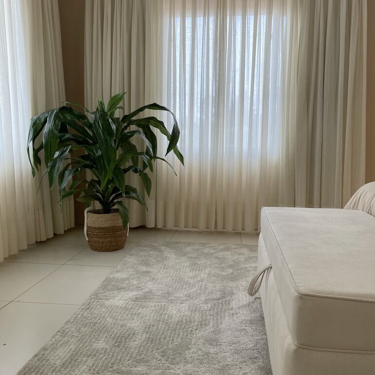 Plantas de interior.