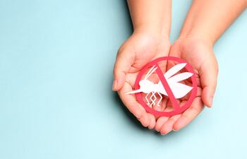 Especialistas norteamericanos llegaron al Paraguay para combatir a chikunguña.