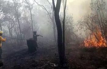 20-08-2021 WHATSAPP PARA INTERIOR
capturaS de video del incendio que se registra en el parque nacional Cerro Cora. Videos enviados por Gilberto Ruiz Díaz, corresponsal
