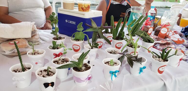 /pf/resources/images/abc-placeholder.png?d=2430