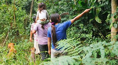 Las comunidades de la parcialidad Pãi Tavyterã, en la frontera con Brasil, están en peligro.