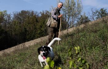 Unos 5.000 ‘perregrinos’ hacen el Camino de Santiago cada año, según los cálculos de la Asociación Protectora de Animais do Camiño (Apaca), entidad que desde hace cuatro años entrega la ‘compostela canina’ a los perros que acompañan a sus dueños en la experiencia de transitar las rutas jacobeas.