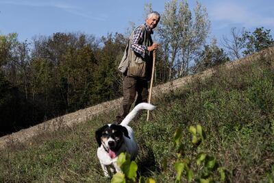 Unos 5.000 ‘perregrinos’ hacen el Camino de Santiago cada año, según los cálculos de la Asociación Protectora de Animais do Camiño (Apaca), entidad que desde hace cuatro años entrega la ‘compostela canina’ a los perros que acompañan a sus dueños en la experiencia de transitar las rutas jacobeas.