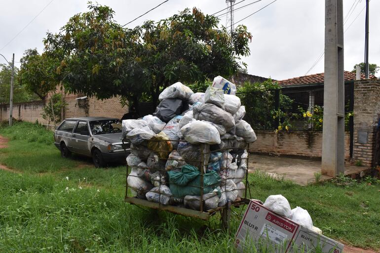 Después de las últimas lluvias la basura genera mal olor y la procreación de gusanos