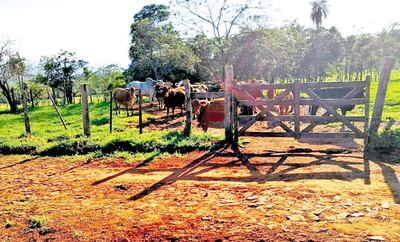 En solo una de sus estancias, ubicada entre Sapucái y Escobar, el diputado Miguel Cuevas (ANR, Añetete) tiene unas 220 hectáreas, por las que pagó G. 2.616 millones.