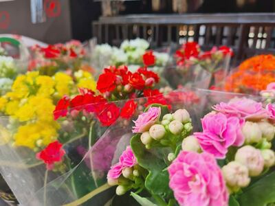 Arreglos de flores, que animan la vida, se podrán apreciar hoy en Abasto Norte.