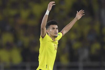 Luis Fernando Díaz, goleador de la selección de Colombia.