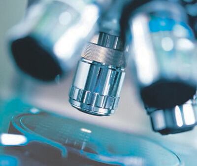 Una bacteria sobrevive en el ámbito hospitalario desde hace más de un siglo.