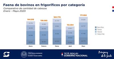 Informe del Senacsa sobre la faena de bovinos durante este año.