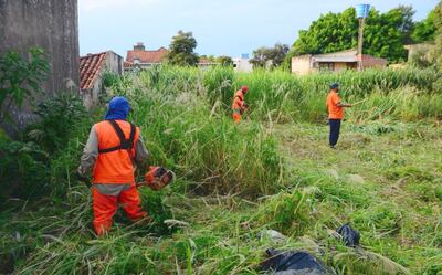 Funcionarios municipales limpian uno de los terrenos abandonados en la capital del Alto Paraná.
