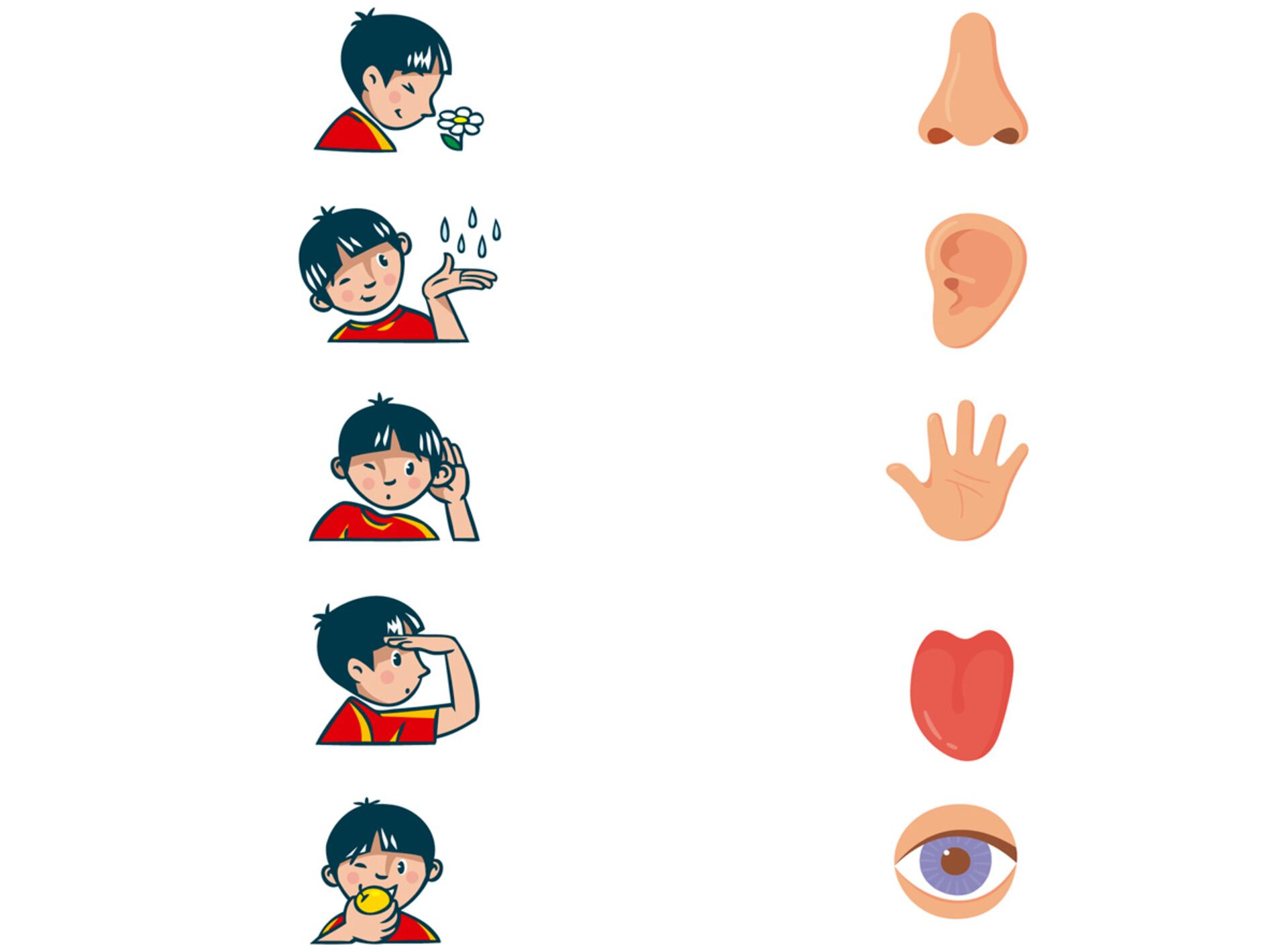 sentido del tacto para niños