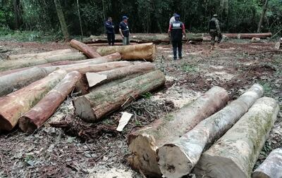 Traficantes de madera atacan a tiros a guardaparques y fiscalizadores en la Reserva del Parque San Rafael