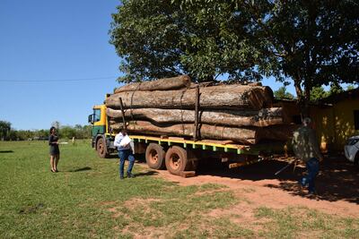 La carga de madera siendo verificado por técnicos de infona de San Juan Nepomuceno