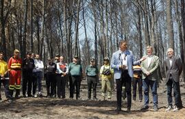 El Consejo de ministros aprobó este martes la declaración como zonas gravemente afectadas por una emergencia de protección civil (zona catastrófica) todos los territorios que han sufrido grandes incendios este año, según ha anunciado el presidente del Gobierno, Pedro Sánchez.