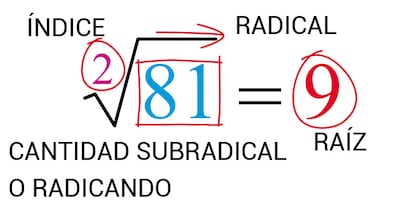 Elementos de una raíz cuadrada