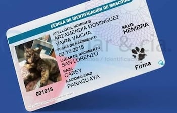 Esta novedosa iniciativa se produjo en plena cuarentena.