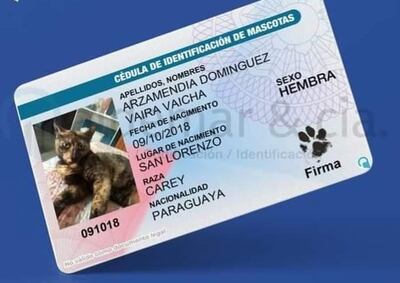 Esta novedosa iniciativa se produjo en plena cuarentena.