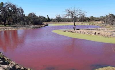 Las aguas teñidas de rojo se convirtieron en un atractivo.