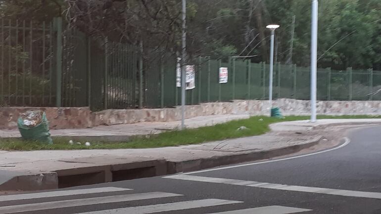 Bolsas de basuras abandonas. 