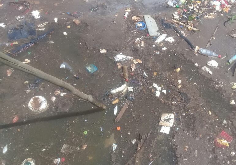 /pf/resources/images/abc-placeholder.png?d=2422