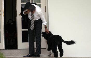 Barack Obama acaricia al perro de la familia, Bo.
