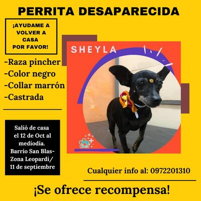 /pf/resources/images/abc-placeholder.png?d=2395