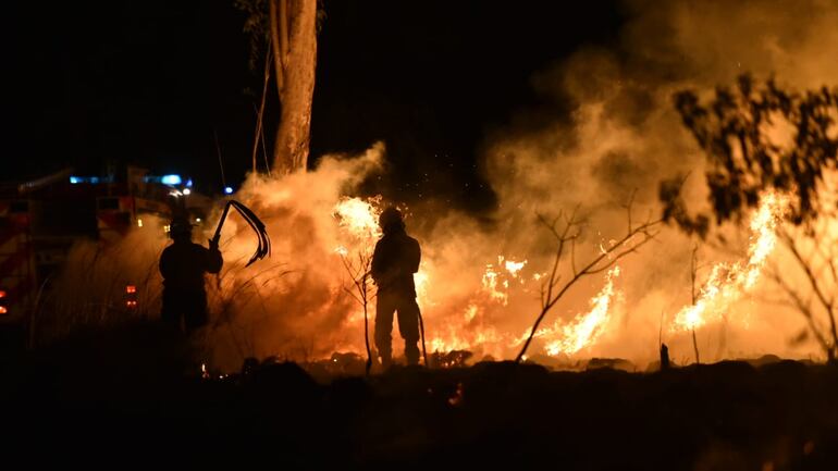 Bomberos de seis compañías ayudaron para sofocar las llamas.