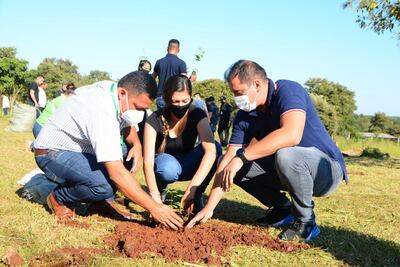 La jornada de reforestación se realizó este viernes en la plaza Caacupemí.