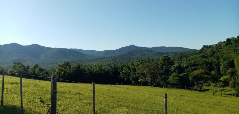 La reserva de Ybyturusu está bajo protección del Mades.