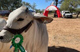 La Expo Rodeo Neuland 2023 está dirigida a toda la familia, perfilándose como un evento en donde se exhibe gran parte de la producción del Chaco.