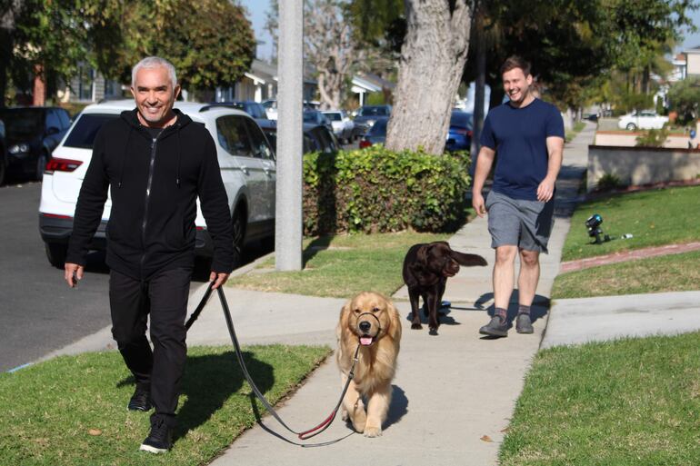 César Millán camina con el perro Teddy por delante de Bruce y su otro perro Brian en el Centro Psicológico del Perro en Santa Clarita, California.