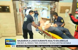 Lince baleado fue auxiliado en una camioneta
