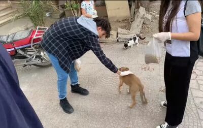 Voluntarios aprovechan el Ramadan para una campaña para asistir a los animales callejeros.