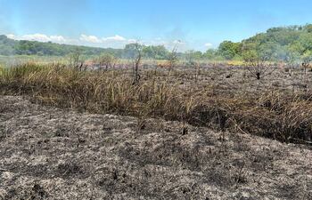 El incendio afectó pastizal dentro de una propiedad privada y un sector de la reserva natural Pikyry.