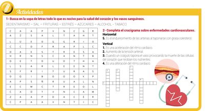 El corazón y las enfermedades del aparato circulatorio