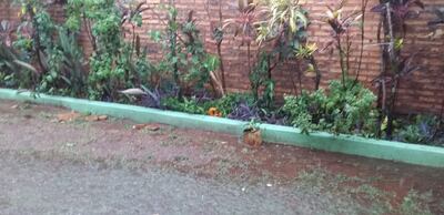 La intensa lluvia aplacó el calor en San Juan Bautista