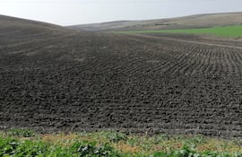 El estudio, realizado por un equipo internacional de científicos, incluidos investigadores del Instituto Max Planck de Biogeoquímica en Jena, que consideran tiene implicaciones para mejorar la salud del suelo y mitigar el cambio climático.