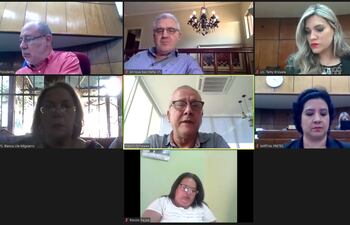 Martín González Guggiari, delegado en la Comip (en el centro), durante la reunión virtual de la Comisión Nacional de acompañamiento a las negociaciones del Anexo C del Tratado de Itaipú.