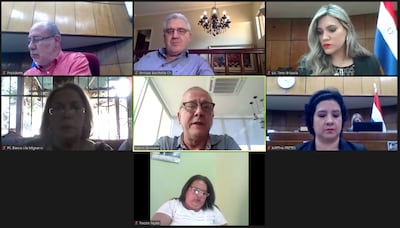 Martín González Guggiari, delegado en la Comip (en el centro), durante la reunión virtual de la Comisión Nacional de acompañamiento a las negociaciones del Anexo C del Tratado de Itaipú.