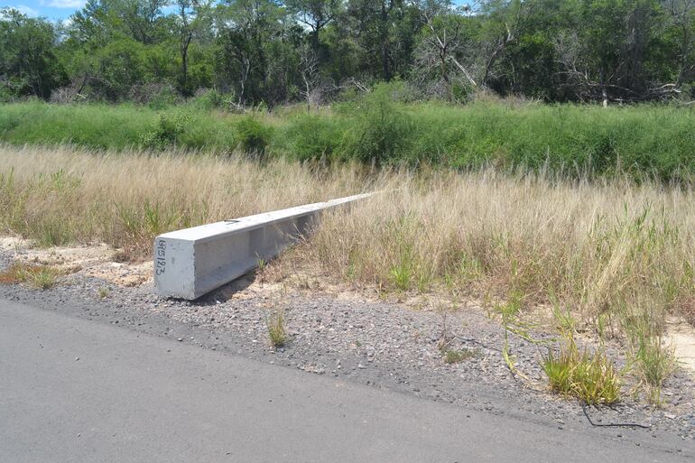 Columnas que deben ser colocadas en la segunda línea de media tensión de la ande en Alto Paraguay.