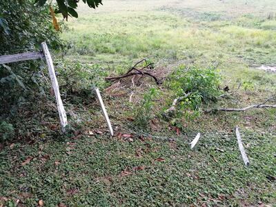 Las alambradas del establecimiento fueron completamente destruidas.