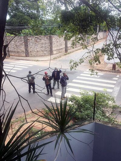 Fotografía tomada por una ciudadana cuando funcionarios se preparaban para la poda.