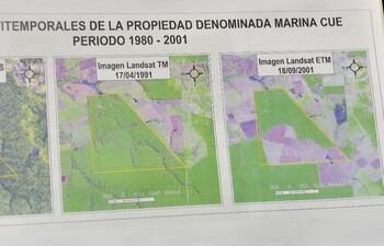 Prometen reforestar Marina Cue.