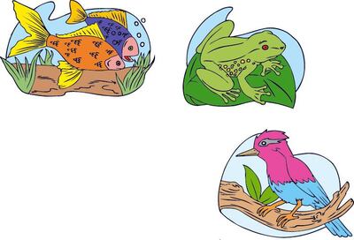 Cobertura de los animales