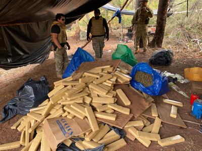 Agentes de la Senad en el campamento de los productores de la droga incautada.