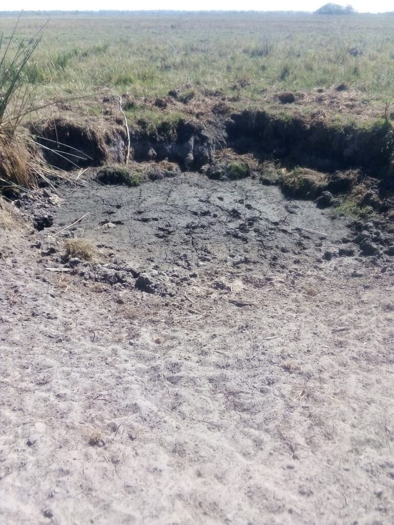 Tajamares secos. Los animales no tienen agua para beber